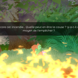 image de présentation du projet 