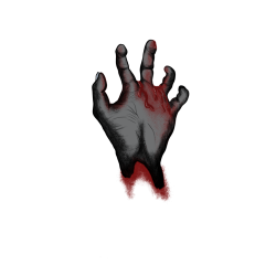 image de présentation du projet 